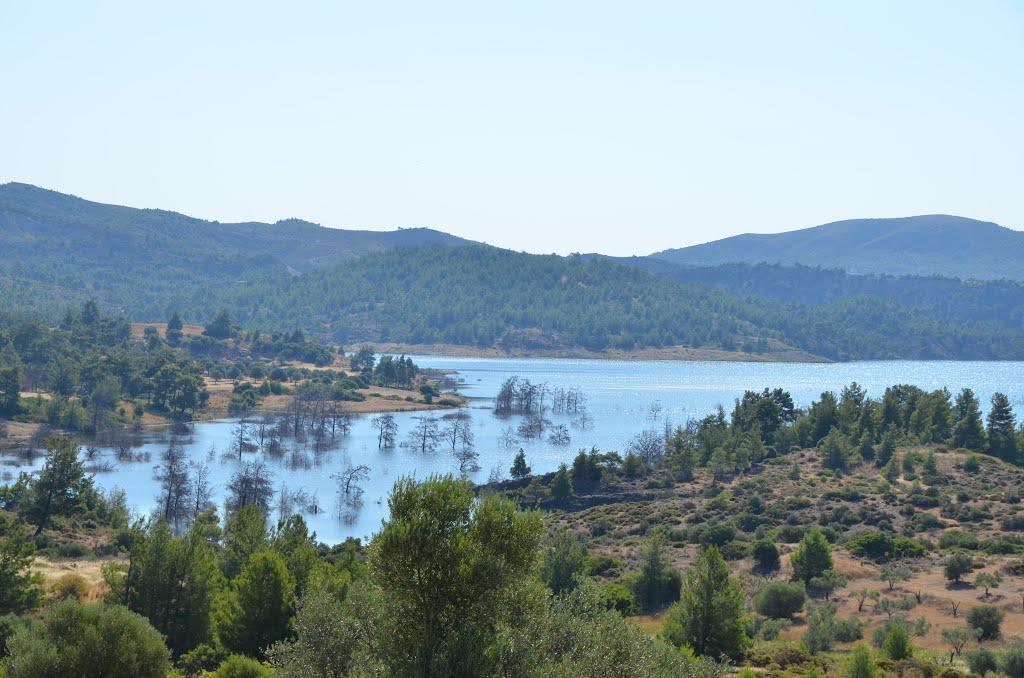 Villa Traditional Aphrodite
